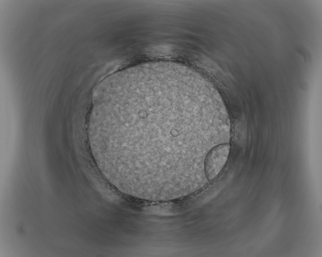 X0000112851201200910021244