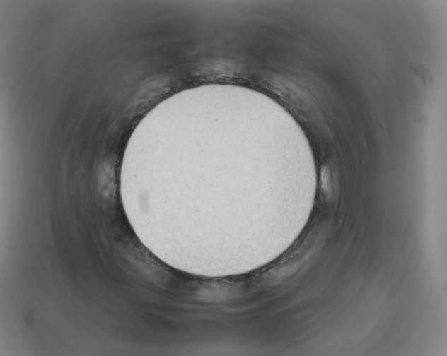 X0000112851203200910021244