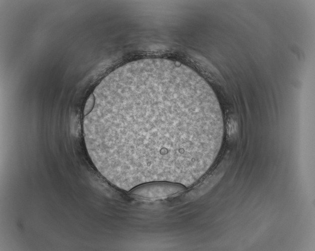 X0000112851204200910021244