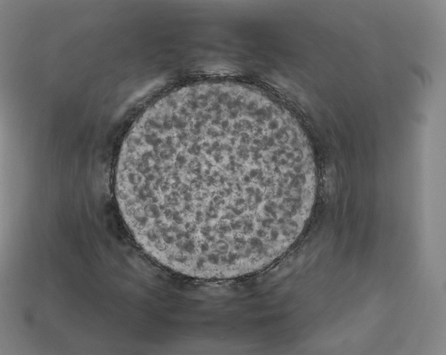 X0000112851205200910021244