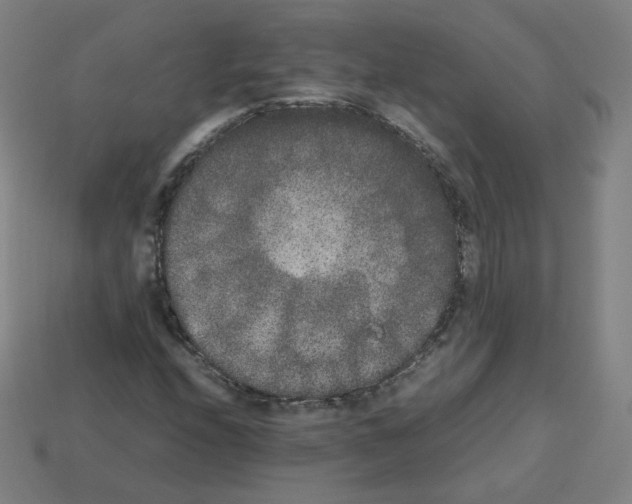 X0000112851208200910021244