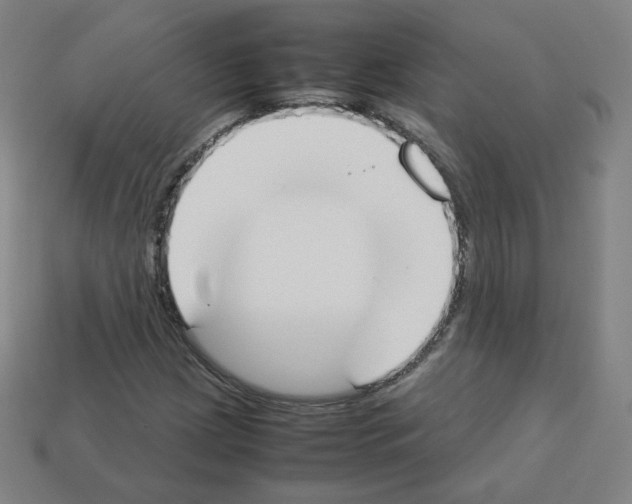 X0000112851209200910021244