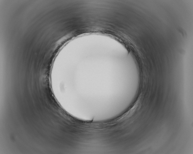 X0000112851210200910021244