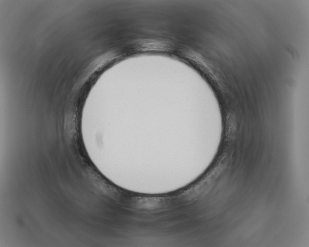 X0000112851211200910021244