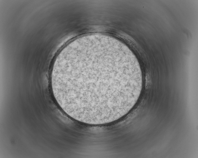 X0000112851212200910021244