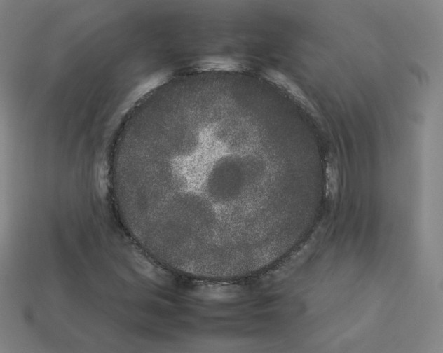 X0000112851213200910021245