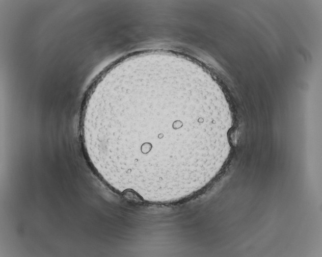 X0000112851216200910021245