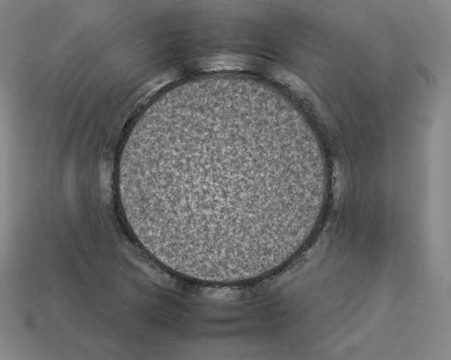 X0000112851217200910021245