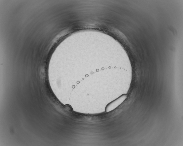 X0000112851218200910021245