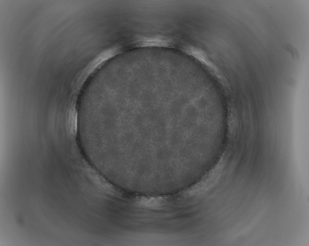 X0000112851221200910021245