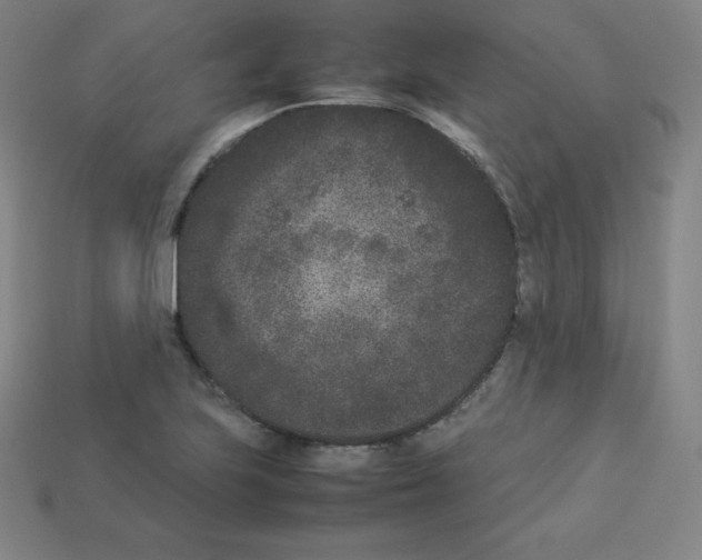 X0000112851223200910021245