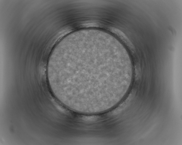 X0000112851225200910021245