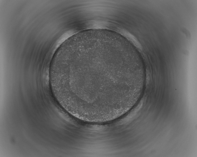 X0000112851226200910021245