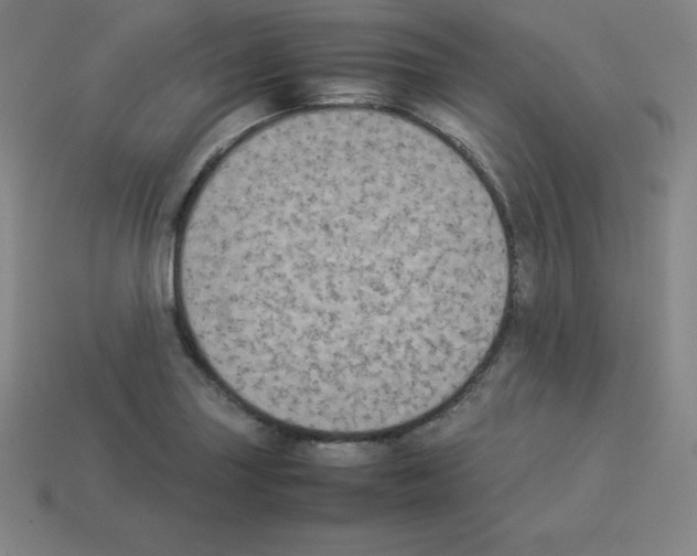 X0000112851227200910021245