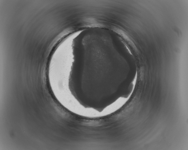 X0000112851229200910021245