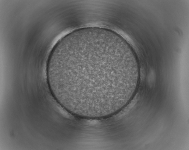 X0000112851230200910021245