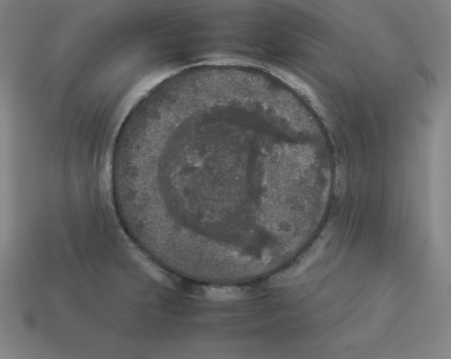 X0000112851231200910021245