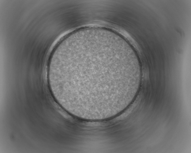 X0000112851232200910021245