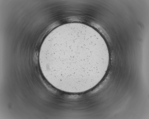 X0000112851233200910021245