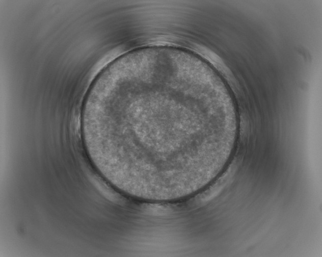 X0000112851234200910021245