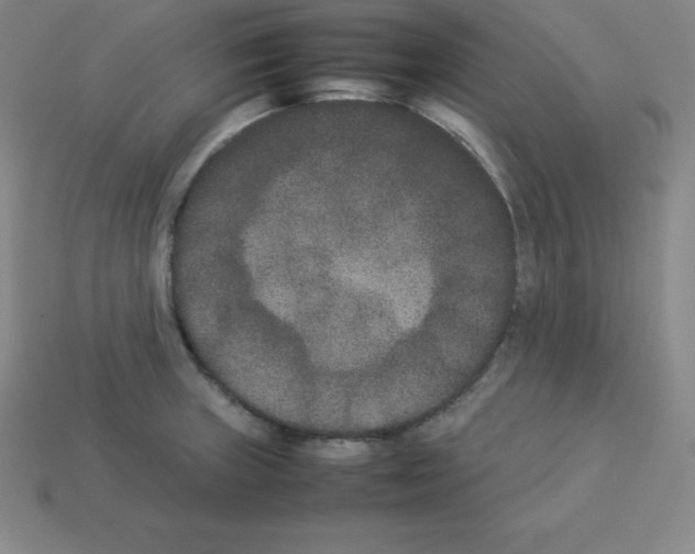 X0000112851235200910021245