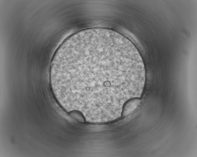 X0000112851236200910021245