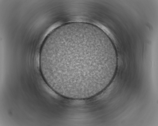 X0000112851238200910021245