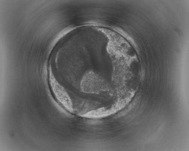 X0000112851239200910021245