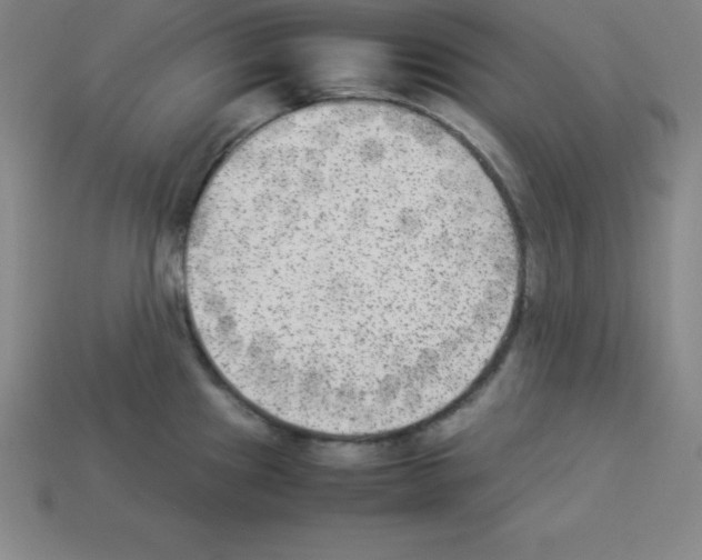 X0000112851241200910021245