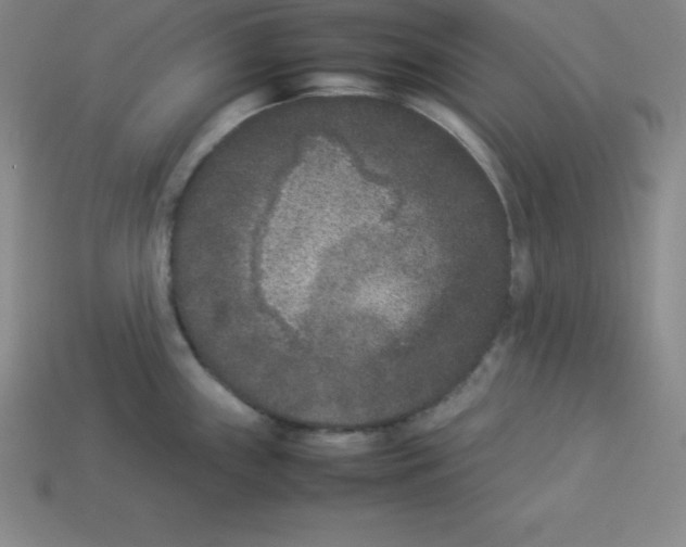 X0000112851243200910021245