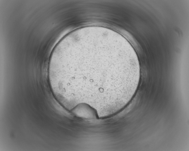 X0000112851244200910021245