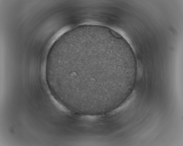 X0000112851245200910021245