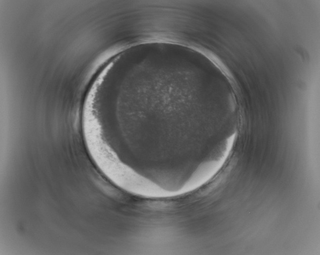 X0000112851246200910021245