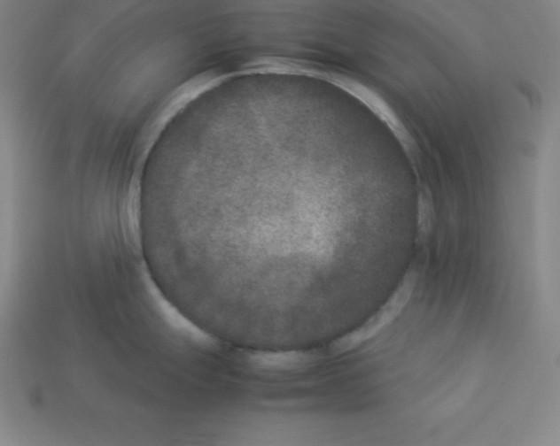 X0000112851247200910021245