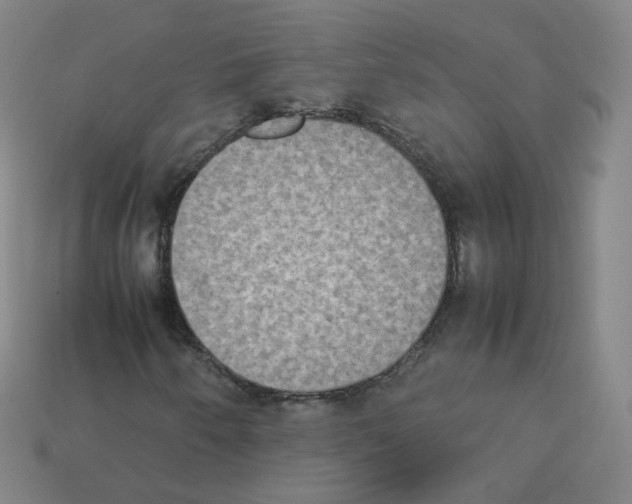 X0000112851250200910021244