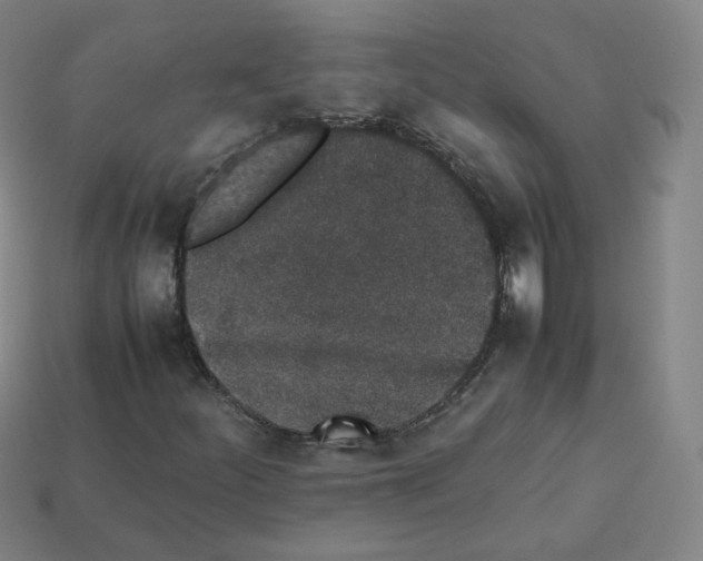 X0000112851252200910021244