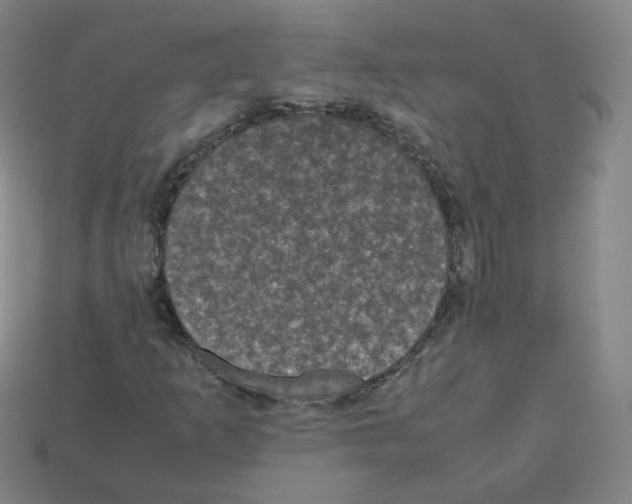 X0000112851253200910021244