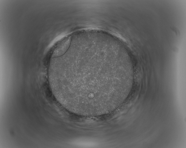 X0000112851255200910021244