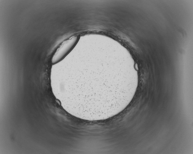 X0000112851256200910021244