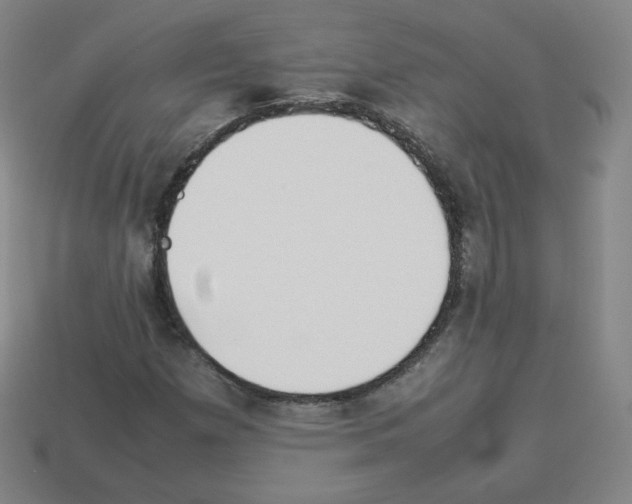 X0000112851257200910021244