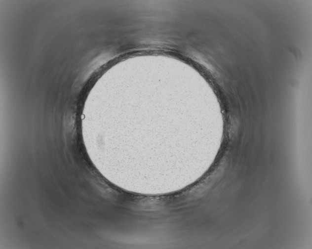 X0000112851259200910021244