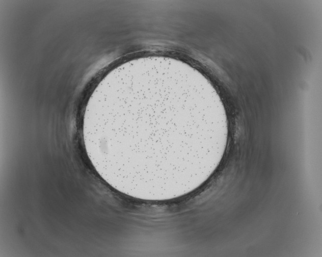 X0000112851261200910021244