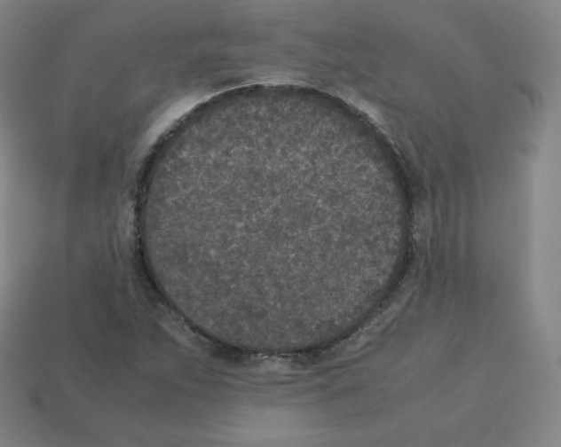 X0000112851263200910021244