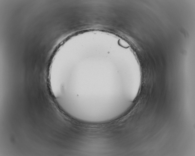 X0000112851264200910021244