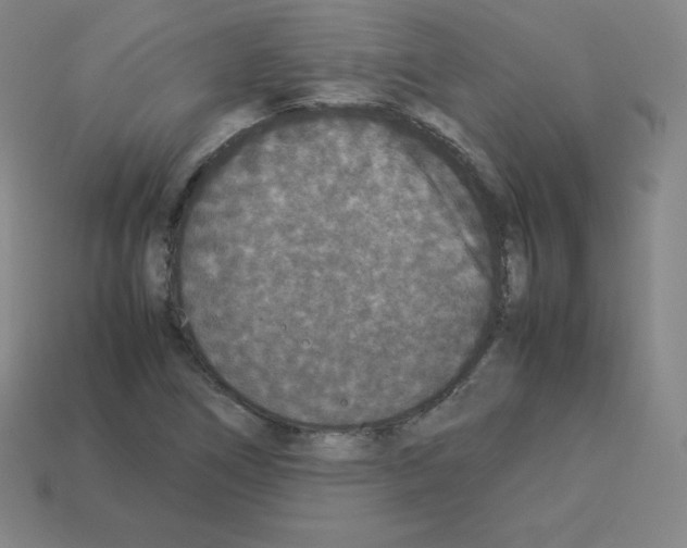 X0000112851266200910021244