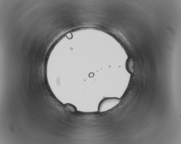 X0000112851268200910021244