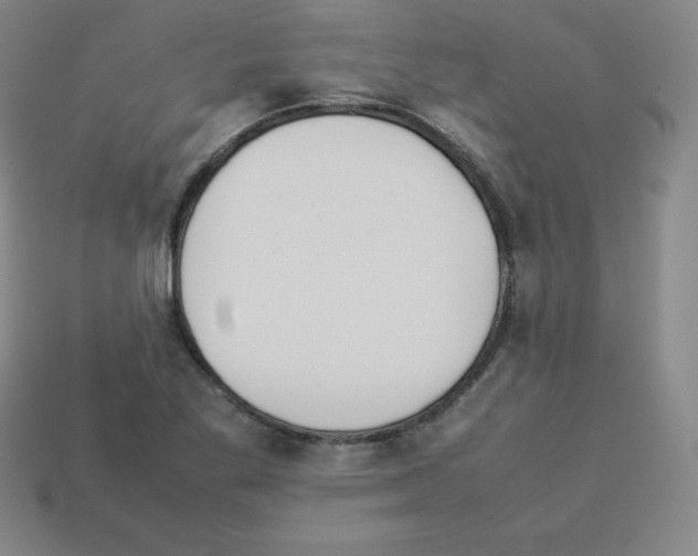 X0000112851269200910021244