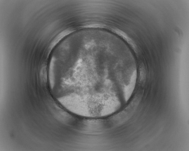 X0000112851274200910021244