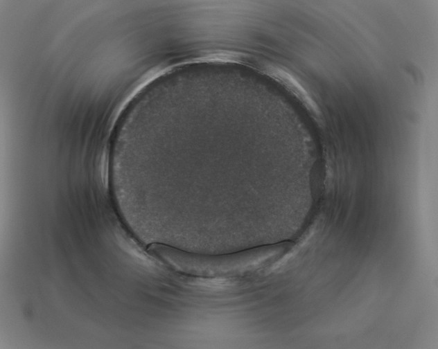 X0000112851276200910021244