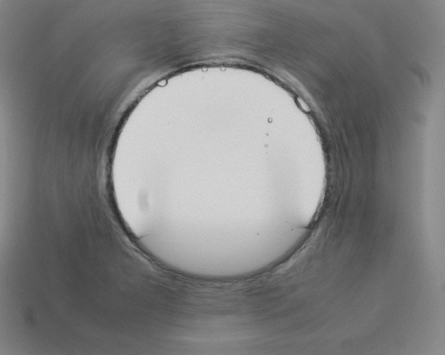 X0000112851277200910021244